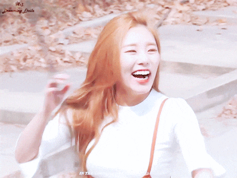  마마무 휘인에 대한 쓸데없는 정보