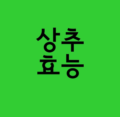 상추효능 알고 먹기