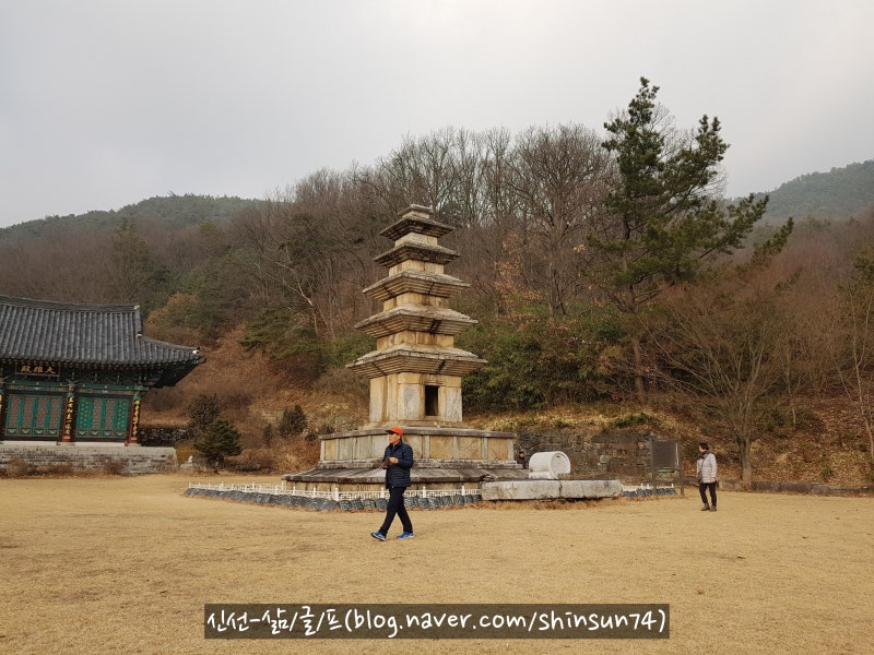 신선-삶·글·프] 남매 전설 간직한 가장 높은 석탑, 구미 죽장리 오층 ...