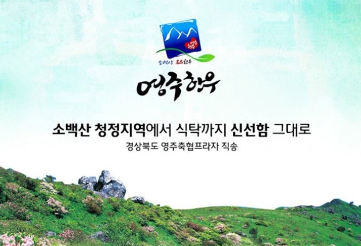  영주축협 한우 정육 설날 선물 세트 공구로 준비해보자