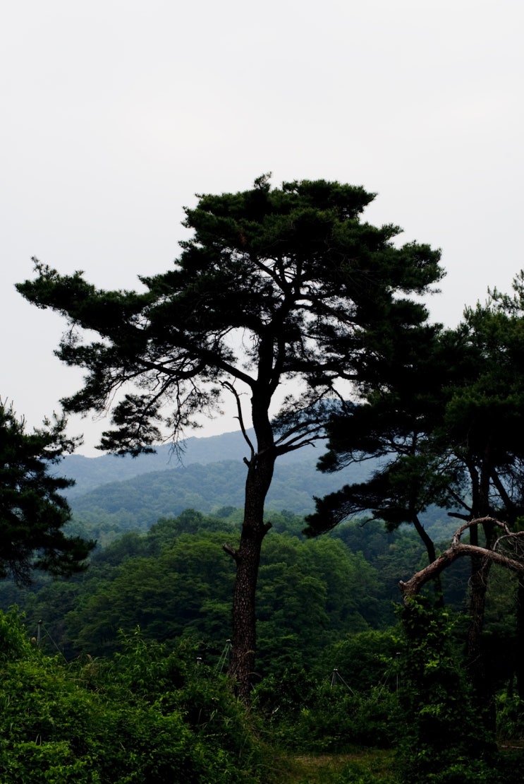  [회상] 6개월전의 여름...