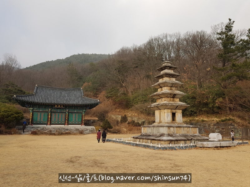 신선-삶·글·프] 남매 전설 간직한 가장 높은 석탑, 구미 죽장리 오층 ...