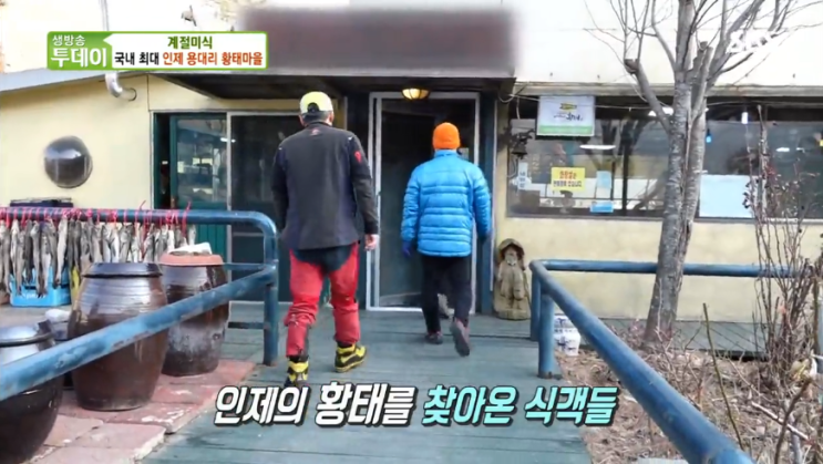  강원도 인제 1 낙태삼합 바람돌이가든 용대리 황태마을 생방송투데이 소개.