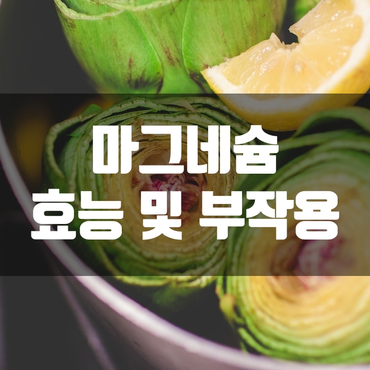  신체 생리작용의 핵심 마그네슘 효능과 부작용 살펴보기