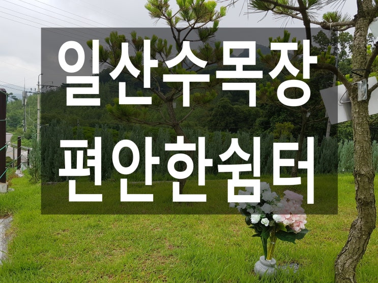  일산수목장-장단점 알아보기~