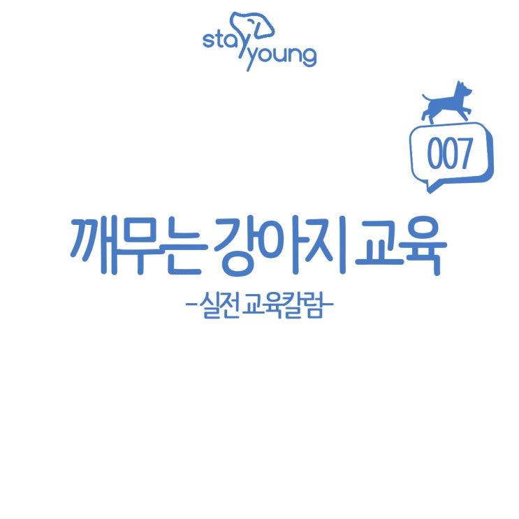  강아지 무는 버릇은 어떻게 해결할까?
