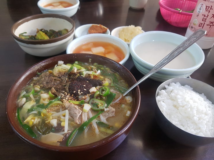 해장국 한그릇에 9천원 실화냐? 제주해장국맛집 미풍해장국 본점 후기