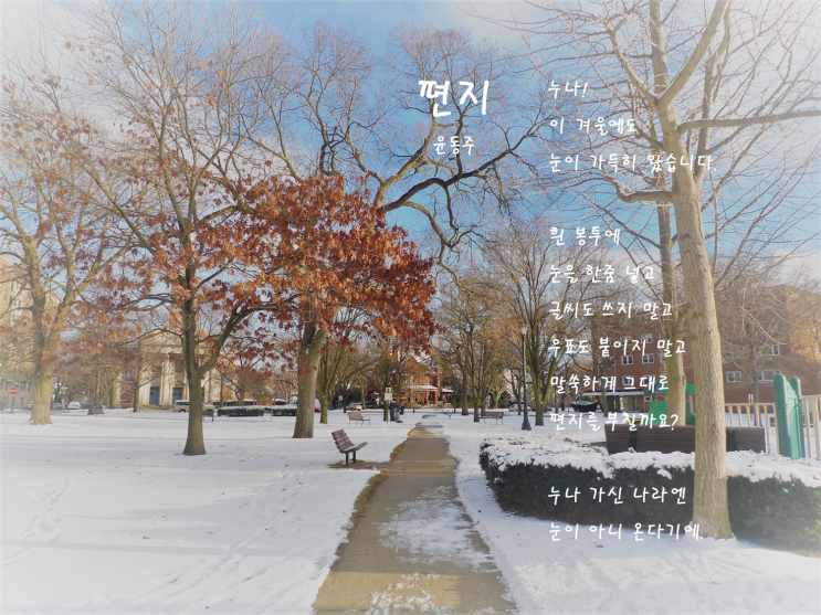  편지 - 윤동주