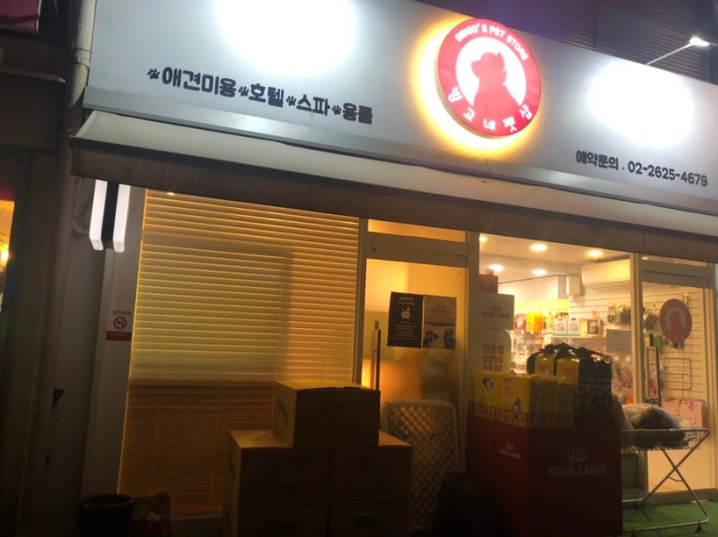 빙고네펫샵