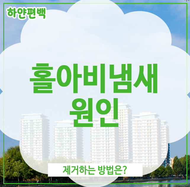  홀아비냄새 원인, 제거하는 방법은?