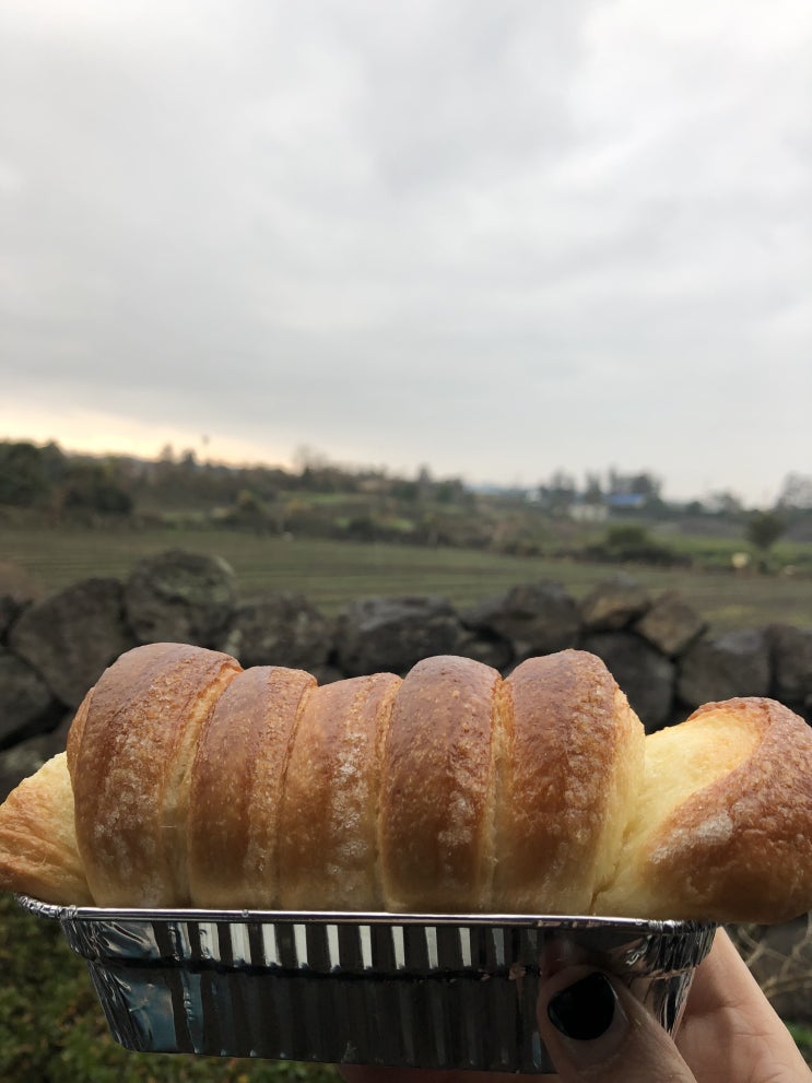  [제주 버터모닝]-내 인생빵으로 정하리오, 뜨끈할때 너무맛나요