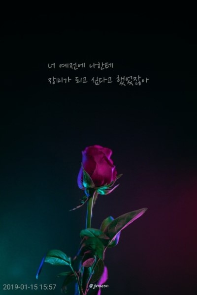  올릴 포스팅이 없다ㅏ.... 그래서 자작글과 내 인스타 페이지를 가지고 왔다...