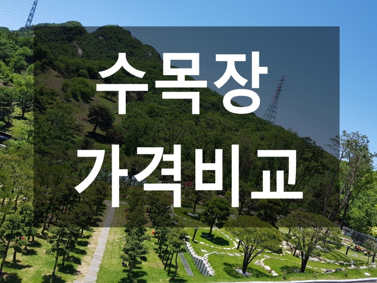  수목장가격비교-자세히 알아보기