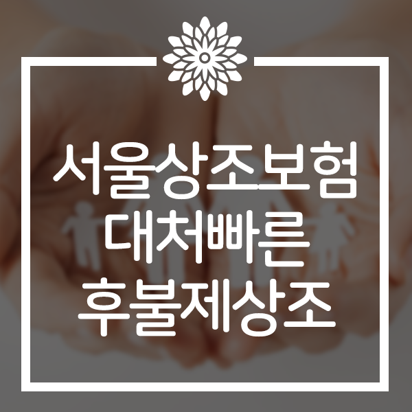  서울상조보험 대처빠른 안전한 후불제상조