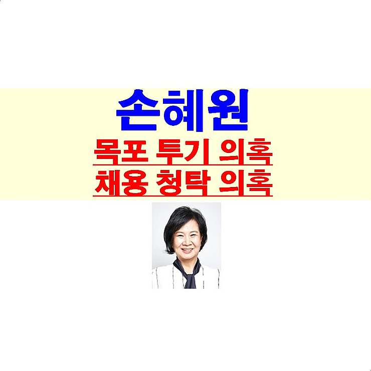 손혜원 투기 의혹에 국립중앙박물관 인사 압력 의혹, 무식한 박물관 고성女?