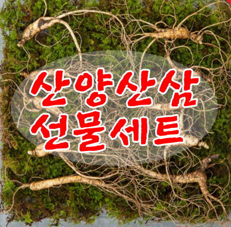 산양산삼 구정선물 효도선물 이만한게 없는거 같아요.