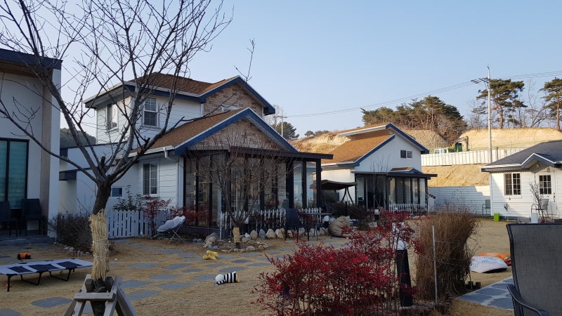 사진 2