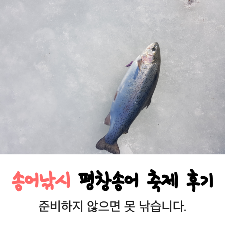  평창송어축제 리뷰, 겨울여행의 아쉬움(가실분들 준비하고 가세요)