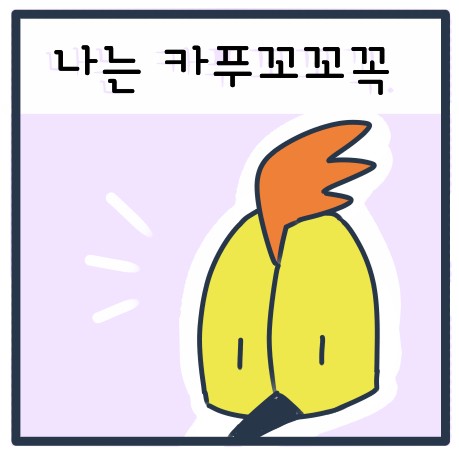  나는 카푸꼬꼬꼭. 지우에게 반했지