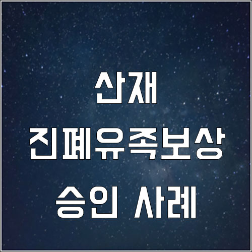  진폐유족보상 승인 사례 (진폐증 산재처리)