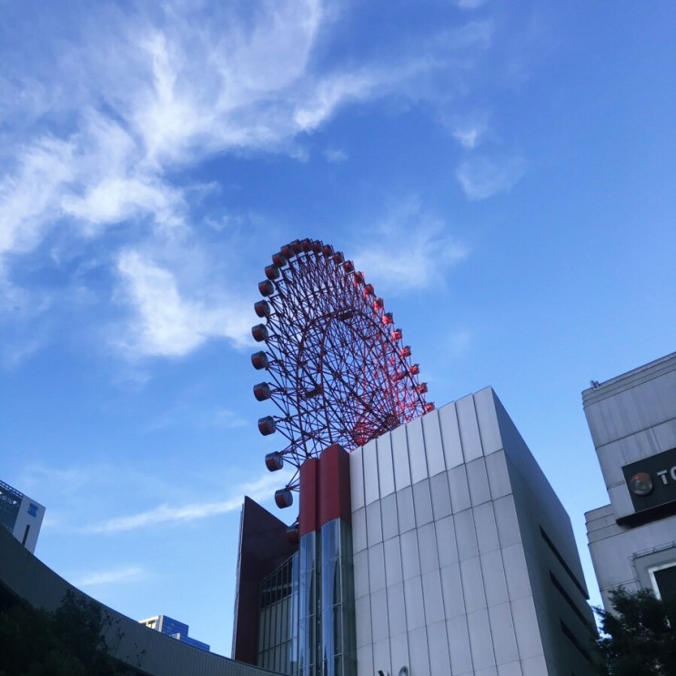 [오사카관광지추천]오사카 주유패스가 있다면? 햅파이브 관람차타고 오사카 야경 보러 가자!