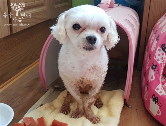  말로 표현하기 힘든 고통을 겪고 있는 희망이를 응원합니다