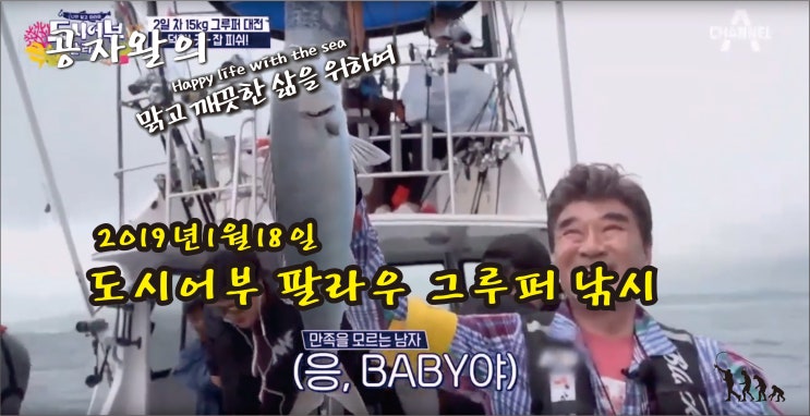  도시어부 팔라우 추성훈,김새론 그루퍼 낚시