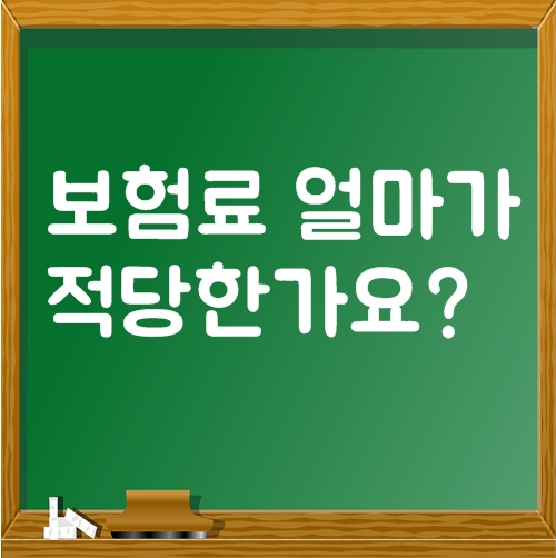  1인당 보험료 얼마가 적당한가요?