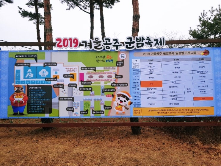 2019 겨울 공주 군밤축제 겨울간식 군밤굽기 체험하기