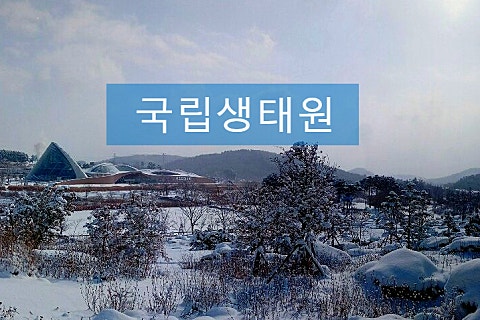 동서천농협파머스마켓 이미지