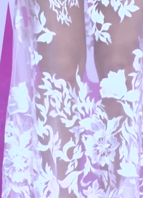 무용과 출신 한초임 논란의 시스루 드레스 몸매 움짤 인스타그램