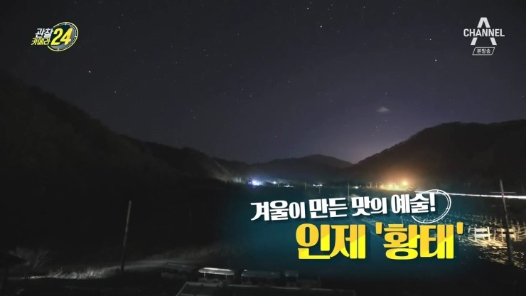  관찰카메라 24 70 회 190118 인제 황태.크기에 따른 용도,부위별 용도,좋은 황태 고르는 법,용바위식당 황태해장국,황태사랑 황태구이정식,산골황태3대식당 황태삼합 황태강정,반건조 명태 코다리와 비교