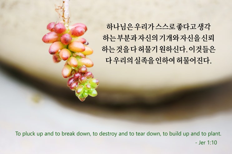  실족한 일에서 공과를 배움