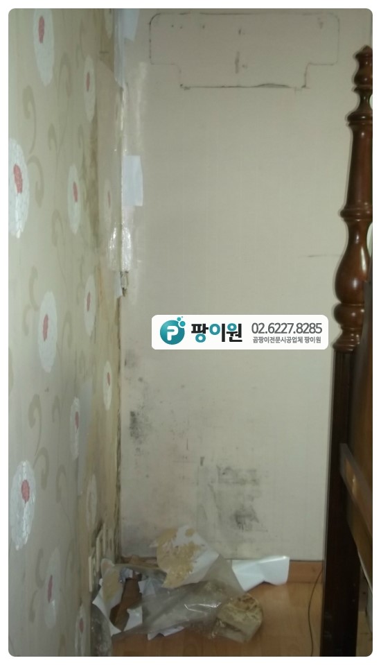  벽곰팡이제거 미루고 나중에 한다?