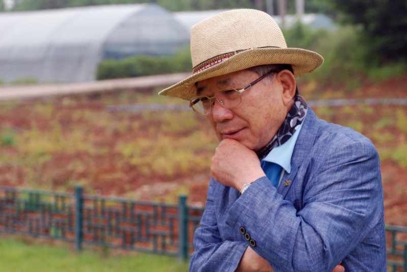 나태주 그리움 풀꽃 1 (꽃을 보듯 너를 본다) : 네이버 블로그