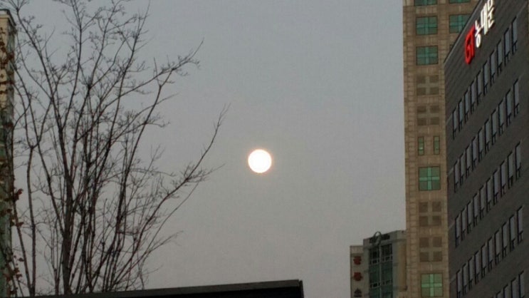 순응하는 것이 개운방법 전미정 프로 골프 선수 보여줘