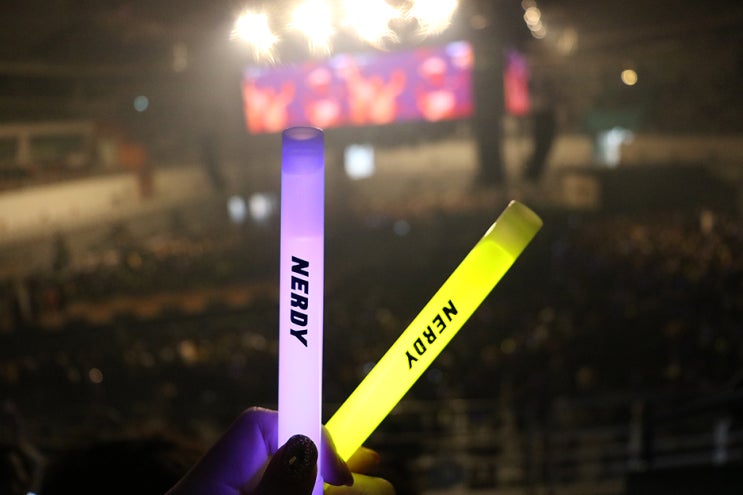  NERDY 널디 페스티벌 NXF2019 힙합 콘서트 쌈디, 헤이즈