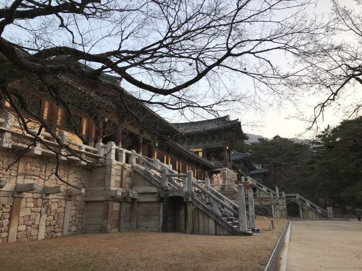 [경주 여행] 천년 고도 경주 불국사 나홀로 전세내다!