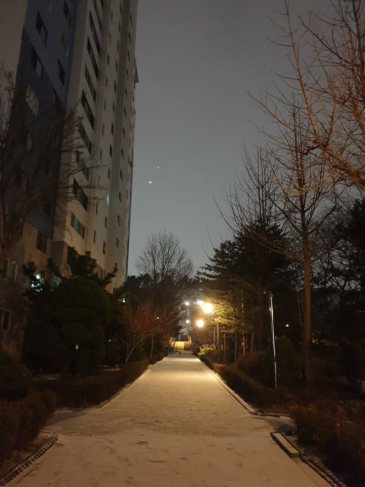  분당중앙공원 가는길