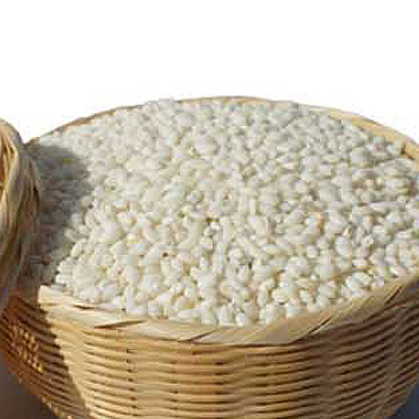  (1월20일추천)(전남오픈마켓/삼정농산)삼정농산 찹쌀20kg/찹쌀