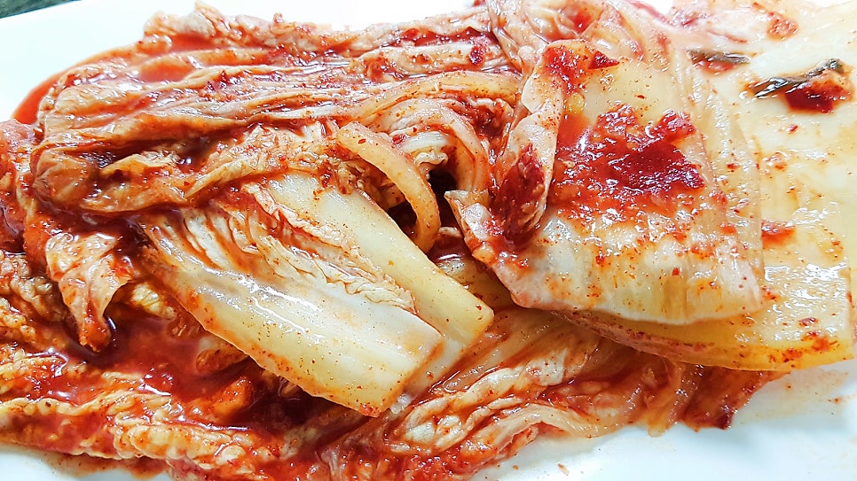돈차르 사진 5