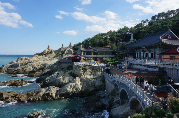  부산여행 추천 기장 해동용궁사 한국에서 가장 아름다운 절