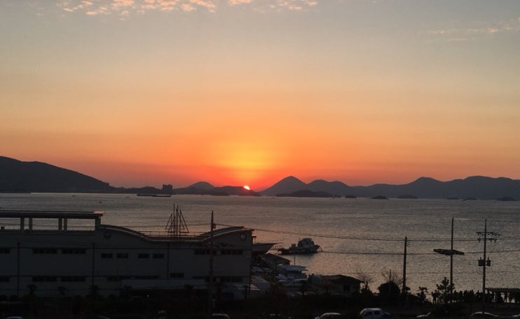  First week of January, 2019