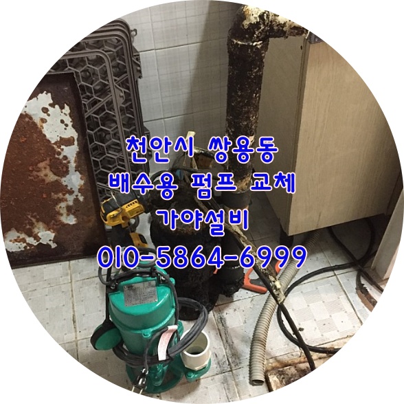  천안 쌍용동 애견호텔 애견유치원 배수용펌프교체시공 배수펌프수리