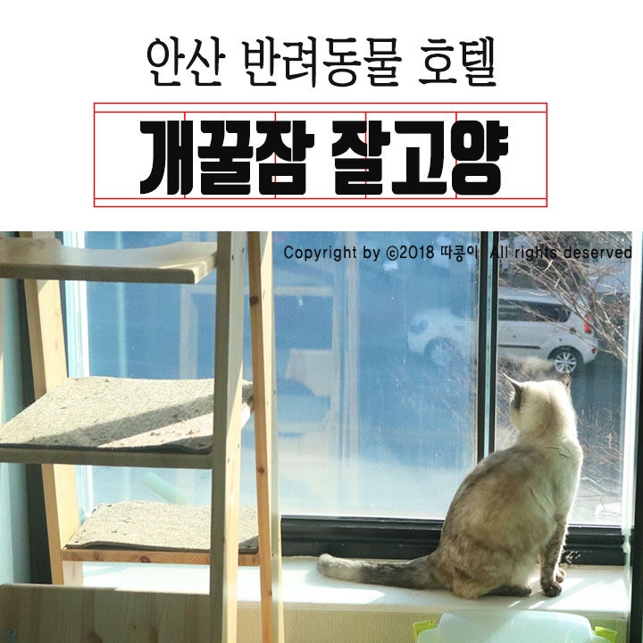 사진 3