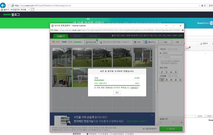  블로그사진업로드가안될때/카메라 사진 일괄 용량 줄이는법