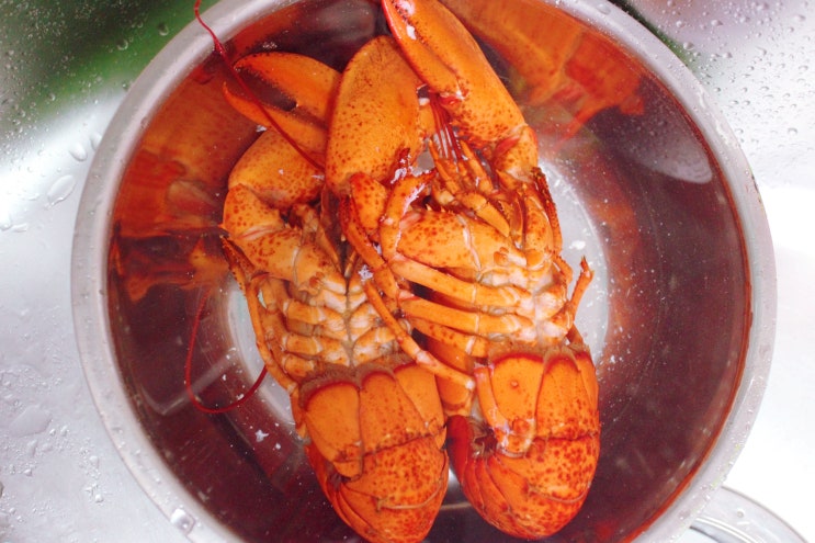  랍스터 요리 / 랍스터 버터 치즈 구이 / 랍스터 라면
