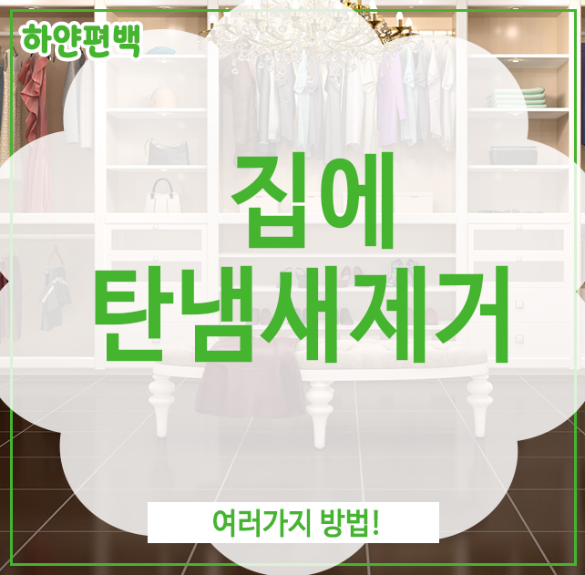 집에 탄냄새 제거, 여러가지 방법!