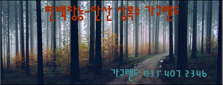  피톤치드의 보고 편백(장농)-안산 상록수 가구랜드