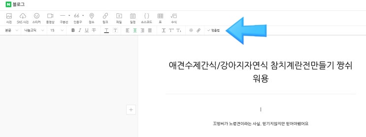  파워블로거 되는 꿀팁 ! 포스팅 글자수세기